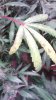 clean_IMG_20180719_134307251.jpg