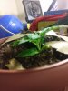 20180801_022614_Burst01.jpg