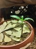 20180801_022830_HDR.jpg