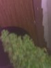 IMG_20180802_163749.jpg