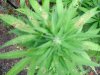 DSCN2928.JPG