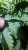 20180809_122632.jpg