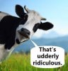 udderly.jpg