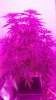 20180826_091235.jpg