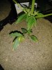 20180827_115155.jpg