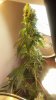 20180902_133036.jpg