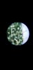 20180903_170920.jpg