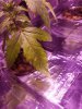 20180905_173200.jpg
