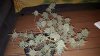 IMG-20180911-WA0008.jpg
