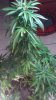20180917_143555.jpg