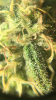 0660BA72-55EA-4690-93D0-FC67BFF8AEF7.png