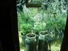 DSC00290.jpg