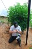 Toking.jpg