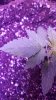 20181019_131822.jpg