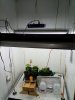 4-Grow Room.jpg