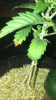 E445D5A1-9017-4707-B0EB-9D495B75CDB9.png