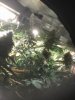 B660CD5C-6175-4A16-B276-7C3652B33AD5.jpeg
