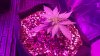 20181121_051627.jpg