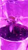 20181129_165110.jpg