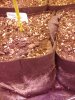 20181230_151145.jpg