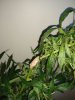 IMG_20190104_161722277.jpg