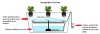 nft-aeroponics-same-as-system-nft-aquaponics-grow-media.jpg