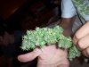 100_2685.jpg