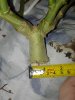 20190206_005314.jpg