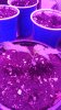 IMG_20190209_165748.jpg