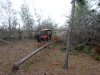 DSCF0592.JPG