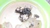 IMG_20190303_161005.jpg