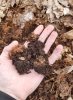 soil1.jpg