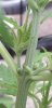 20190610_180230.jpg