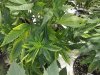20190612_183640.jpg
