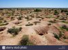 craters-in-the-place-of-abandoned-opal-mine-white-cliffs-australia-BJBJ0T.jpg