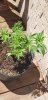 20190627_114158.jpg