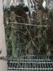 DSC01089.JPG