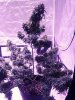 20190716_213658_Film3.jpg
