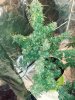20190718_065936_Film3.jpg