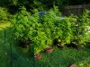 20190727_070230.jpg