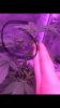 28F61A17-33B4-454E-9005-A53900F6DF29.jpeg
