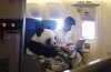 Panda-Plane-dailymail.co_.uk_.jpg