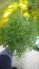 20190918_140418.jpg