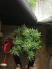 IMG_20190919_174735.jpg