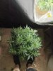IMG_20190919_175353.jpg