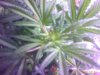 IMAGE_00104.jpg