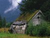 Shed in Field.jpg