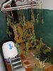 DSC01001.jpg
