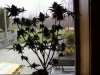 Picture 001.jpg