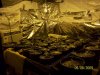 100_7127.jpg
